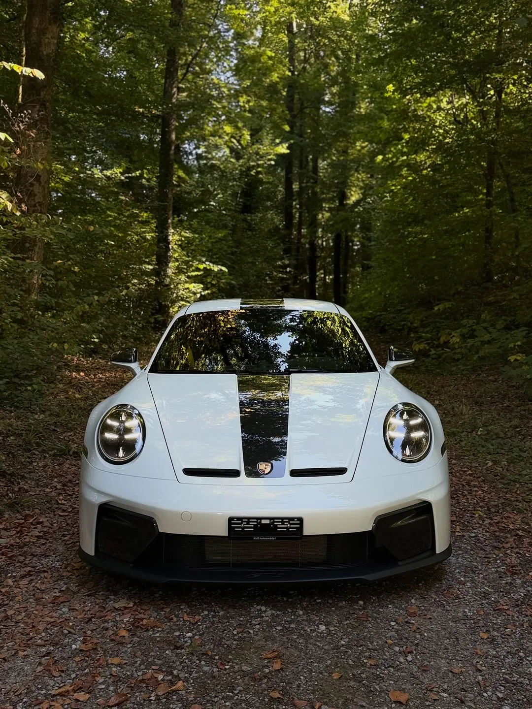 Porsche 911 GT3 – Frontansicht im Wald