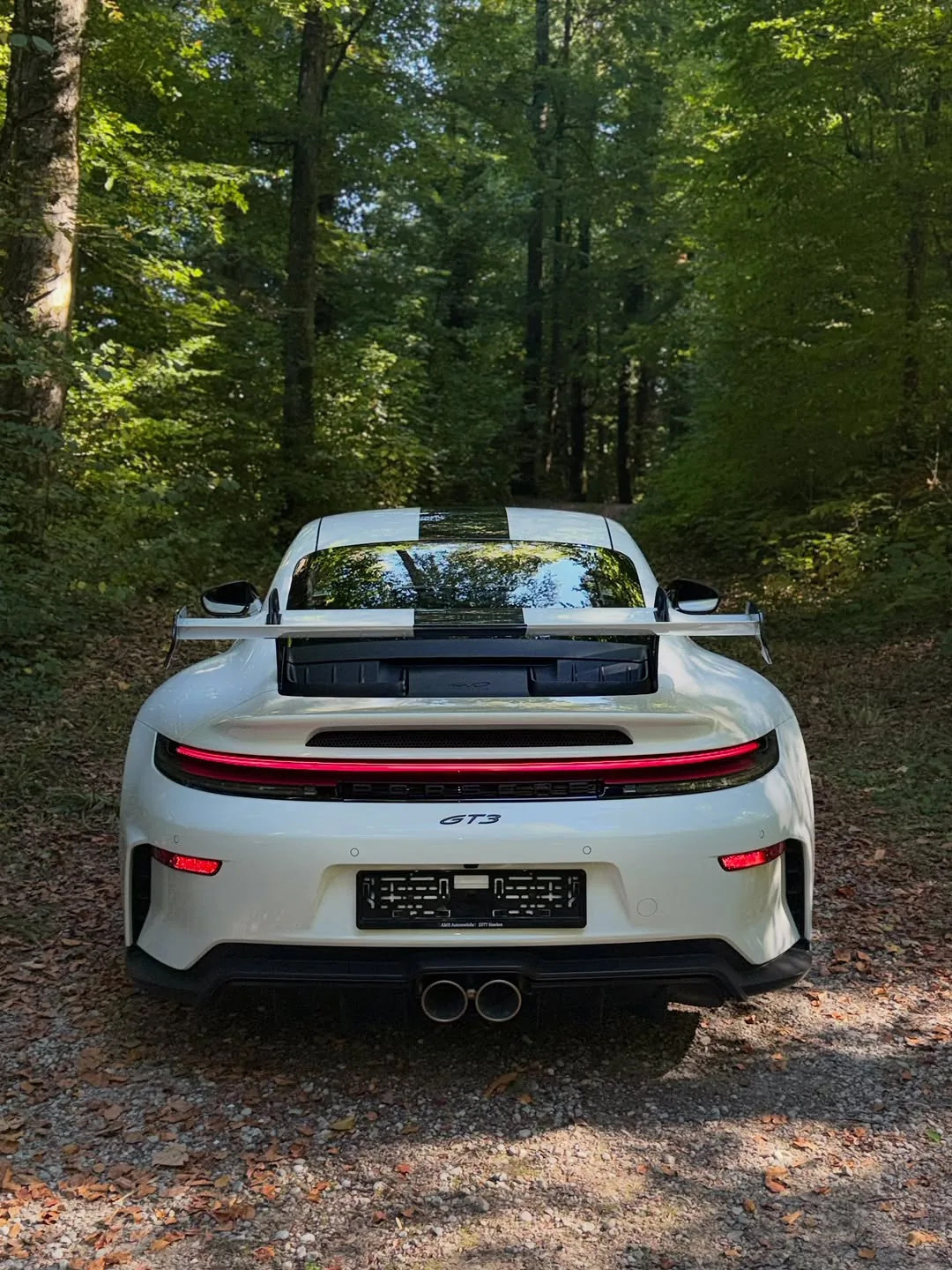 Porsche 911 GT3 – Heckansicht im Wald