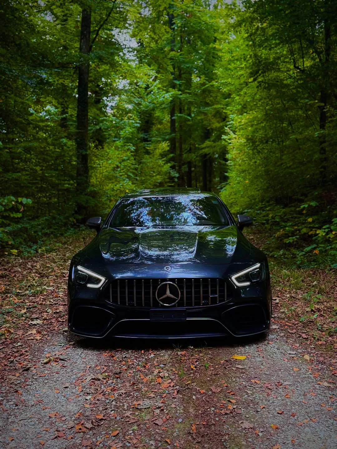 Mercedes-AMG GT 63 S · Grau – Frontansicht im Wald
